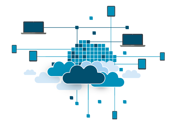 Local Mini Networks